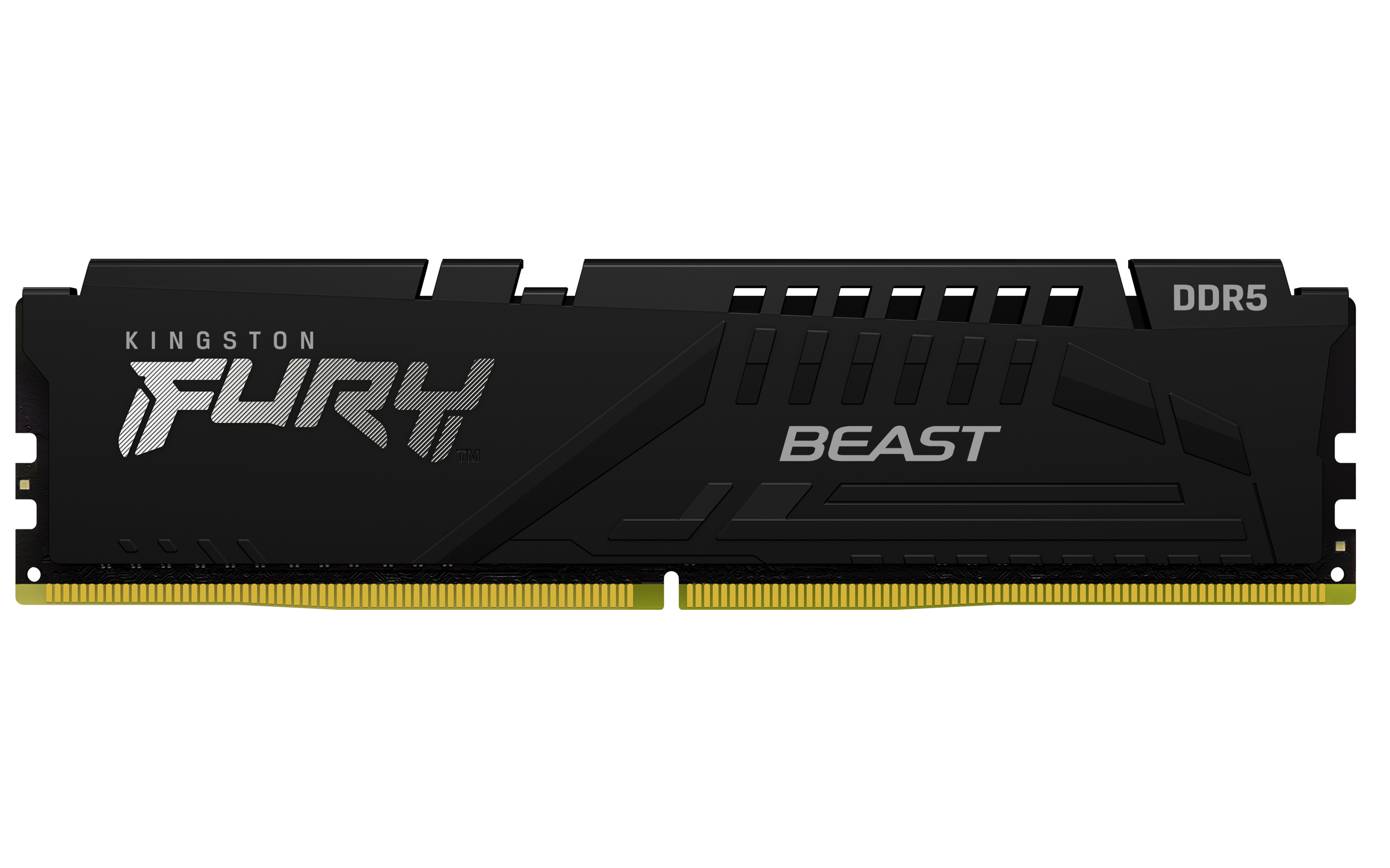 E-shop Kingston FURY Beast/DDR5/32GB/4800MHz/CL38/1x32GB/Black KF548C38BB-32