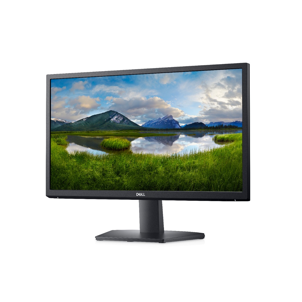 E-shop Dell/SE2222H/21,5''/VA/FHD/60Hz/8ms/Black/3RNBD 210-AZKU