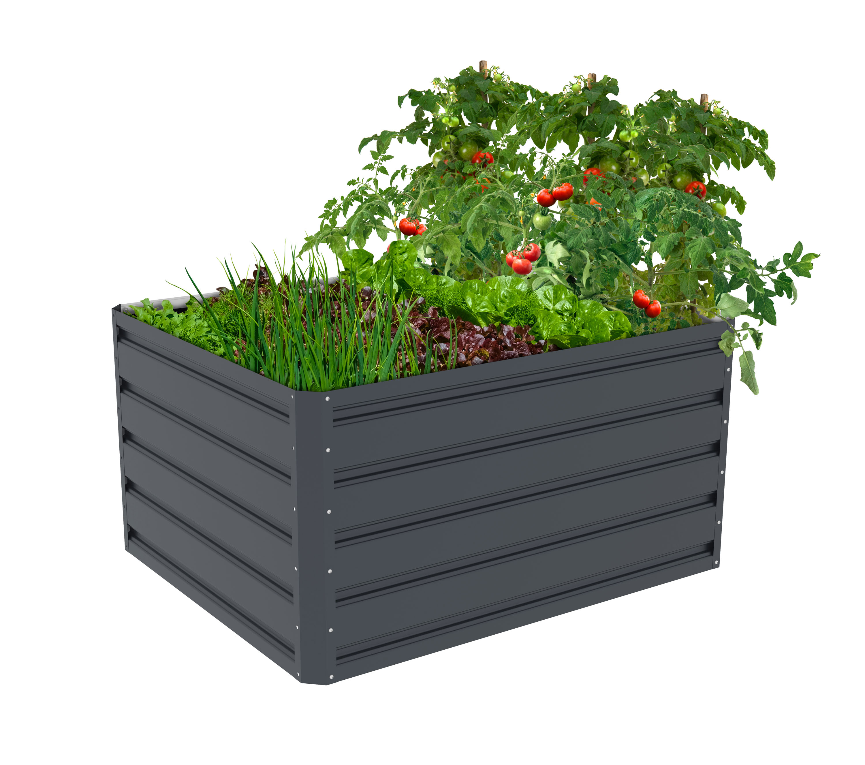 E-shop Vyvýšený záhon G21 Daisy 100 x 80 x 52 cm, plechový, antracitový GB-080-52-GRN