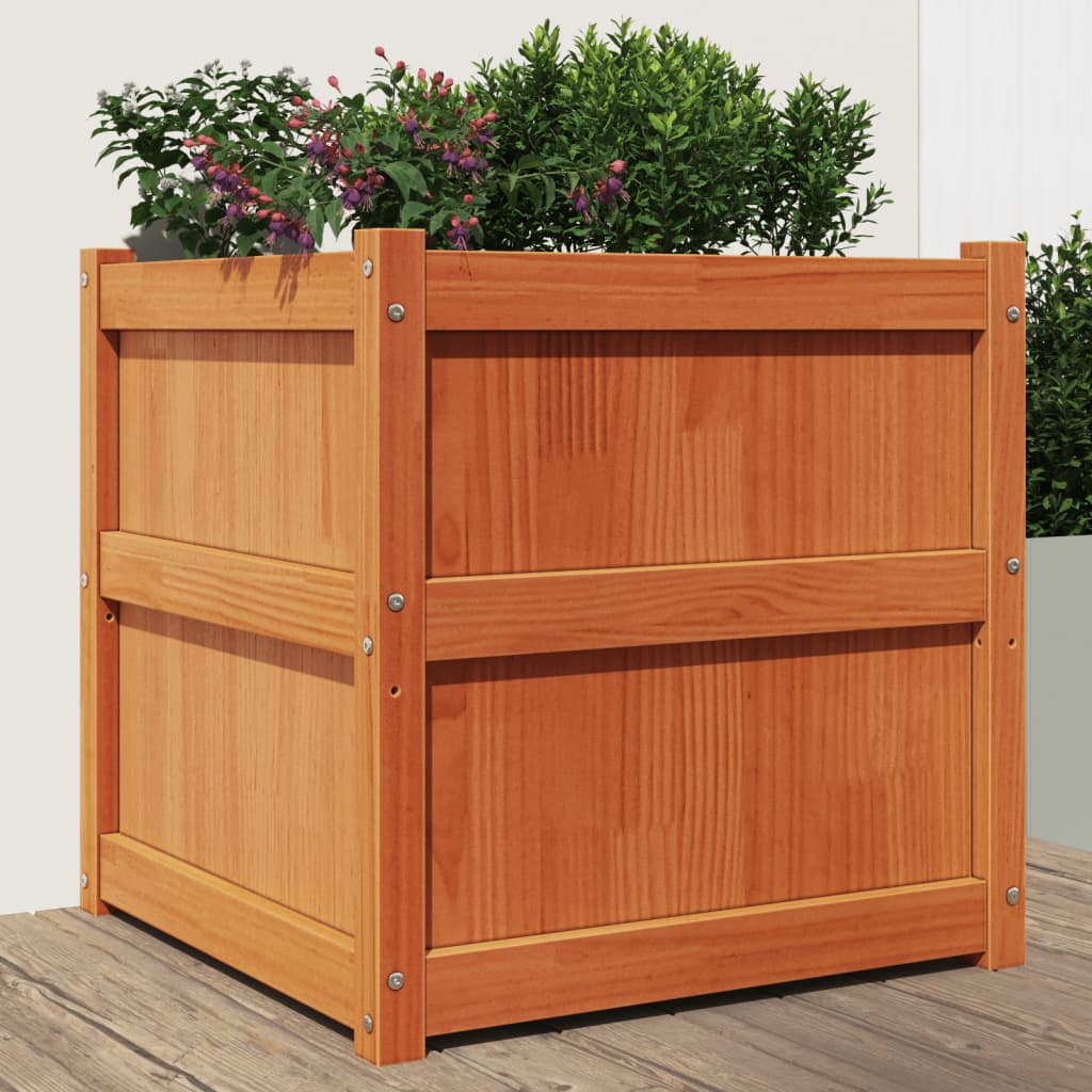 E-shop Multidom Záhradný kvetináč voskový hnedý 60x60x60 cm masívna borovica