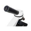 (CZ) Digitálny mikroskop Levenhuk Rainbow D2L 0,3M, Moonstone (Moonstone, EN)