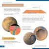 (EN) Discovery Scope Set 2 with book (CZ)
