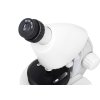 Mikroskop Discovery Micro s knihou (Polar, EN)