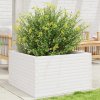 Multidom Záhradný kvetináč biely 80x80x46 cm borovicový masív