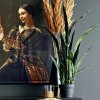 Emerald Umelá rastlina Sanseveria s kvetináčom 84 cm