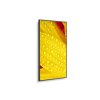 50'' LED NEC ME501,3840x2160,VA,18/7,400cd
