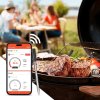 TESLA Cook BBQ200 - bezdrátová teplotní sonda