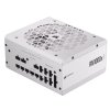 CORSAIR RM1000x/1000W/ATX 3.1/80PLUS Gold/Modular/Bulk