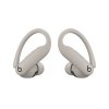 Beats Powerbeats Pro 2/ANC/BT/Quick Sand