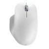 Incase Bluetooth Ergonomic Mouse, Glacier