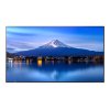 65'' LED SHARP P656,3840 x 2160, IPS, 24/7,700cd