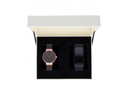 RA528601T