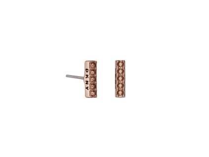 DKNY WOMAN JEWELS 5520082