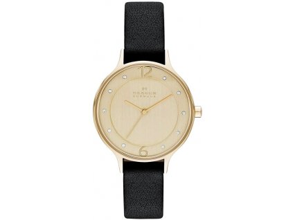 damske hodinky skagen anita gold skw2266