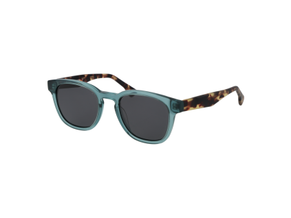 Bulget Sunglasses BGY9003 T02P 50