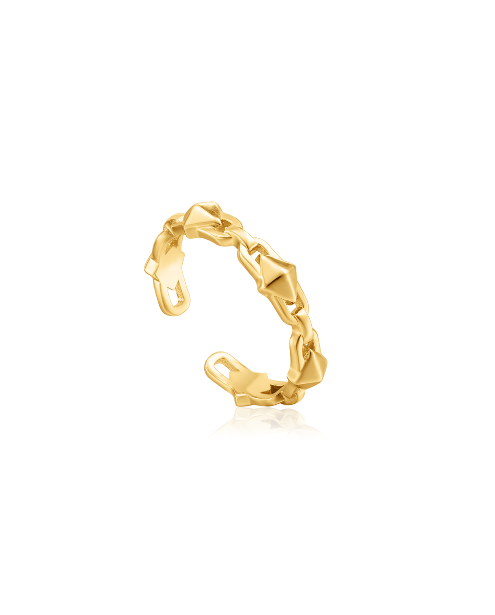 ANIA HAIE WOMEN JEWELS R025-02G