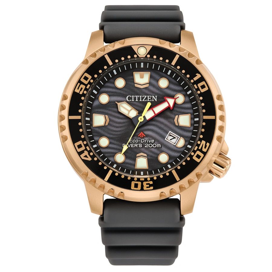 CITIZEN Pánske hodinky BN0163-00H
