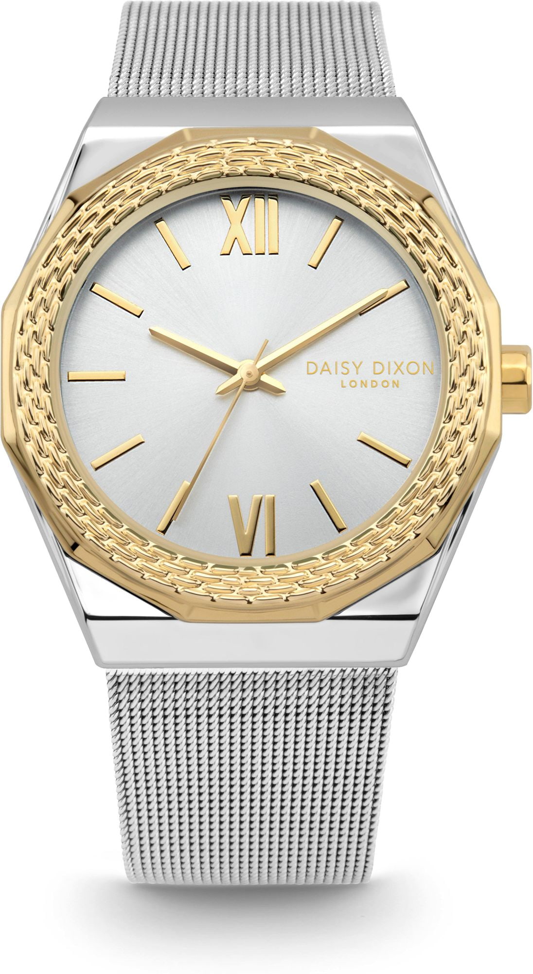 DAISY DIXON Dámske hodinky DD169SGM