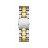 GW0010G2 2