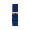 GW0618L2 3