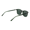 Bulget Sunglasses BG9218M T01P 52