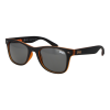 Superdry Sunglasses SDS-ROOKIE 104 52