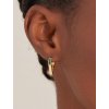 ANIA HAIE Earrings Second Nature E042-02G-M