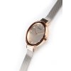 Bering 12034-064 Classic  34mm