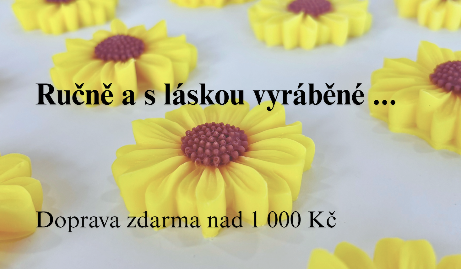 elve-slunečnice