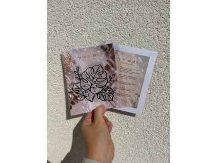Suncatcher - monstera 1