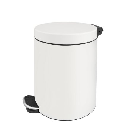 fehér szemetes feketerigó awd02031784