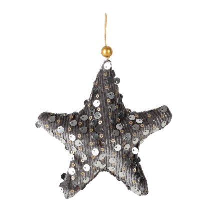 Karácsonyi dekoráció HVIEZDA 320C | ezüst 11 x 11 cm 0