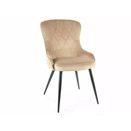 modern étkezőszék LOTUS VELVET, bézs kivitelben