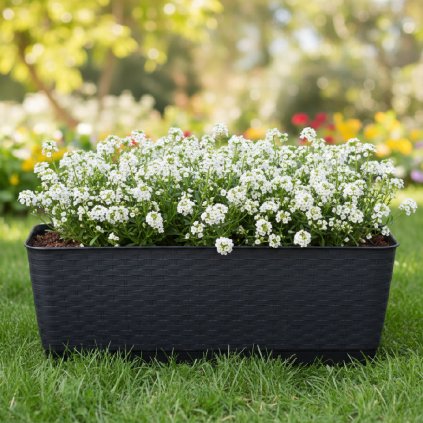 virág-ratolla-p-antracit-9,2-cm