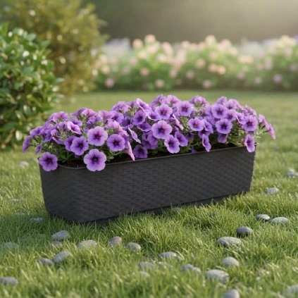 virág-ratolla-p-umbra-59-cm