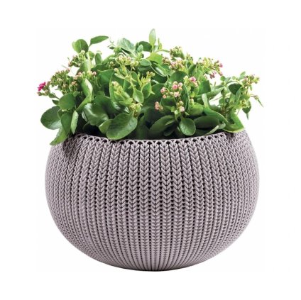 gyönyörű-virág-növény-ravasz-a-design-dialova