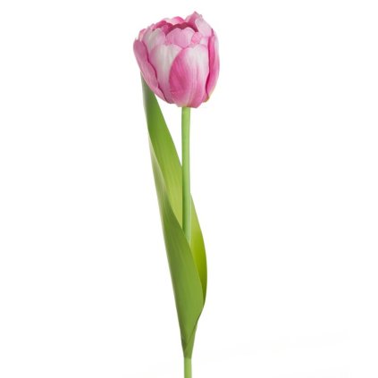 Mesterséges tulipán NATU 475 | rózsaszín 37 cm 0