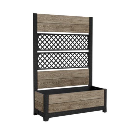 tulipán-virág-átmenetben-kőris