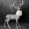 Karácsonyi dekoráció DEER 184 | ezüst 36 x 12 x 52 cm 2
