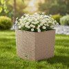 nyírfa-kerti-virágcserép-rato-alacsony-40-cm