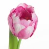 Mesterséges tulipán NATU 475 | rózsaszín 37 cm 1