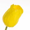 Mesterséges tulipán NATU 477 | sárga 56 cm 1