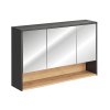Dulap oglindă baie Borneo Cosmos 843 lățime 120 cm