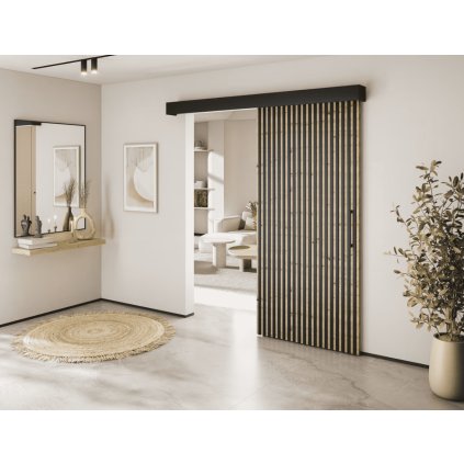 dizajnove posuvne dvere tauricio cierna