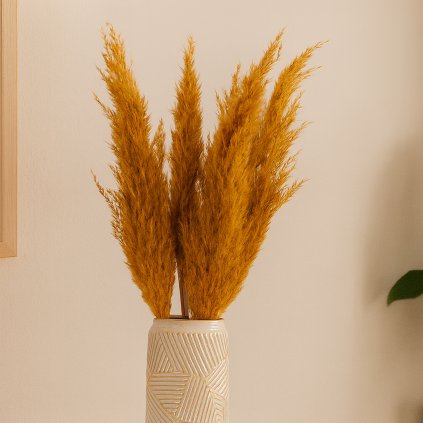 susena trava natura oranzova 73 cm vo vaze