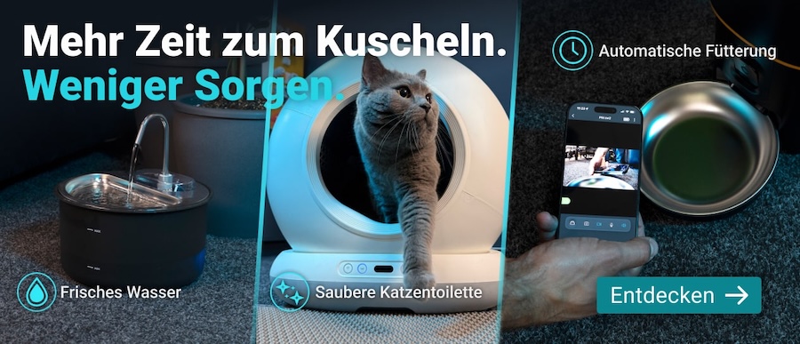 pet care