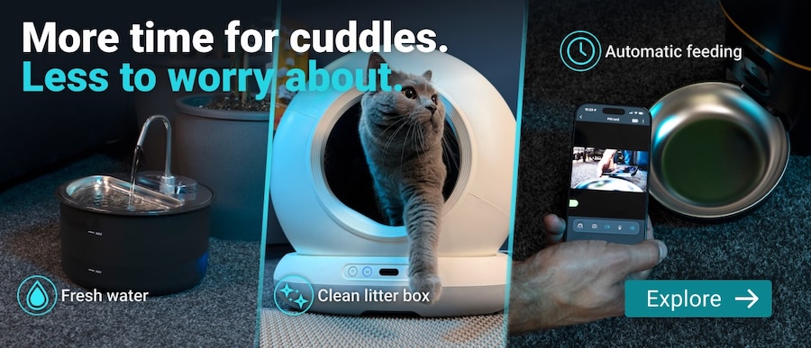 pet care