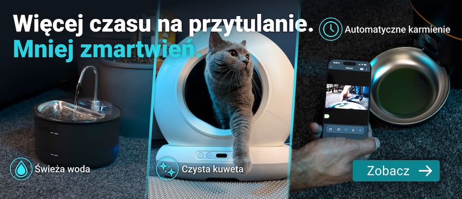 pet care
