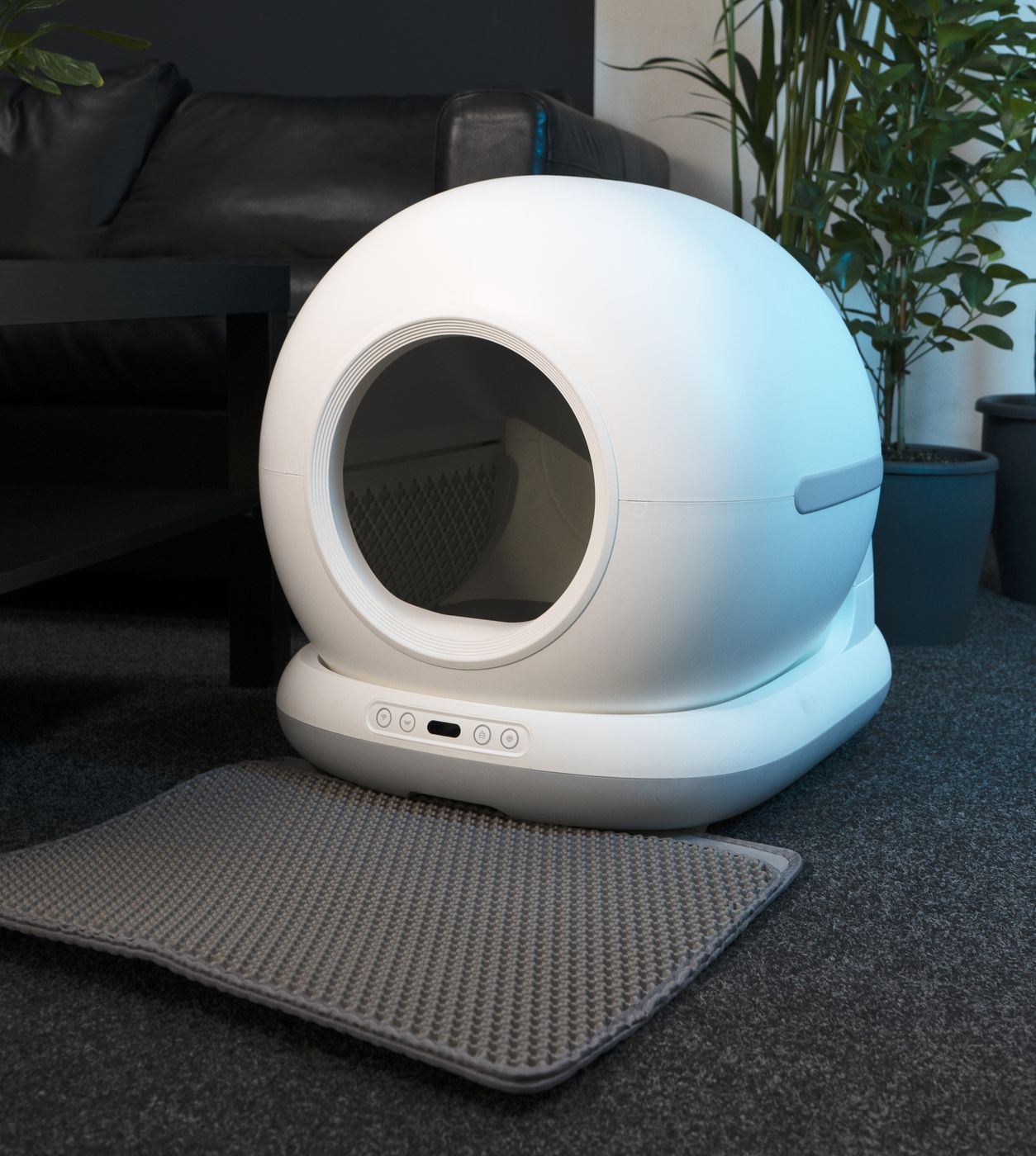 Myers CLB-W1 litter box placed in a living room