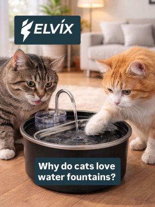 Why do cats love water fountains? 🐾💧 It’s not just cute — it’s instinctive and healthy. 1️⃣ Flowing water naturally...